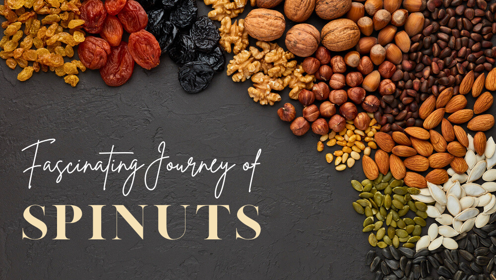 Nutty Adventures: Journey of Spinuts | Premium Dry Fruits and Nuts