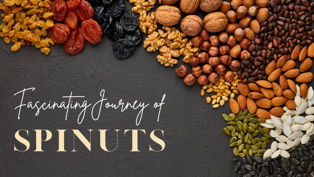 Journey of Spinuts | Premium Dry fruits | Assorted Nuts Online